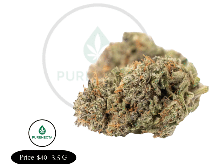 OG Kush – High-THC Hybrid for Stress Relief & Mood Boost