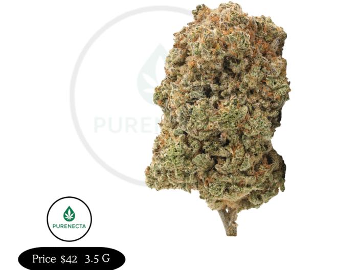Gorilla Glue #4 – Strong THC Indica for Deep Relaxation