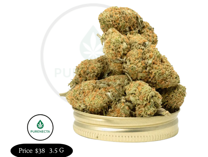 Pineapple Express Tropical Sativa Blend for Energy & Focus