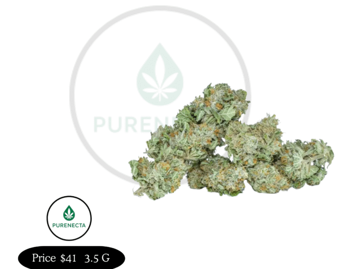White Widow – Balanced Hybrid for Relaxed Euphoria